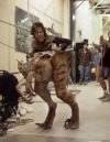 vampireapologist-archive-deacti:foxbap:vampireapologist-archive-deacti:vampireapologist-archive-deacti:Ppl r always like “wah wah we HAVE to use mediocre CGI bc makeup and practicla effects is ice consuming and unrealistic for closeups”& Jurassic