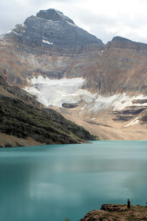 4nimalparty:  Biddle Peak (by iskali)