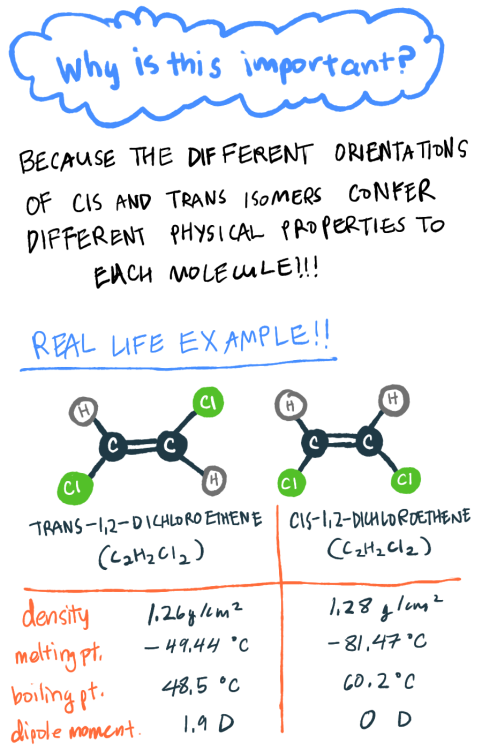 cyclopentadiene:  atomicallena:  scienceforebreakfast:  One example of how big a role isomers can play is talked about here: Radiolab: Mirror Mirror.  Some fantastic illustrations explaining the basic concepts regarding cis and trans.  Just a few things