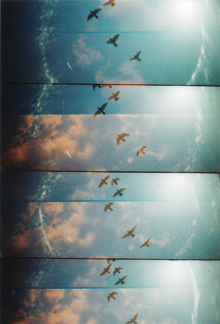silly-luv:  ♡ find your best posts on my blog ♡