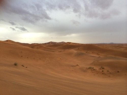 Porn postcardsfromsarah:  Rain in the Sahara desert, photos