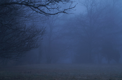 swedishlandscapes:Eerie atmosphere.