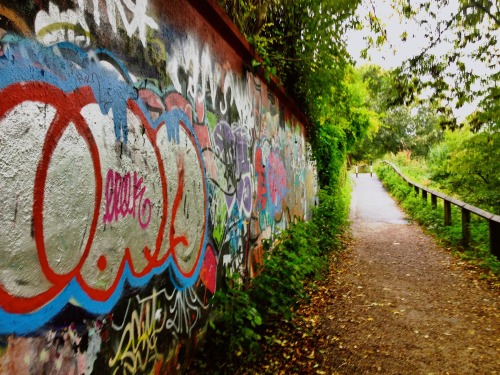 This takes me back in time, to walking down this little quiet path every day on my way to Sainsburys