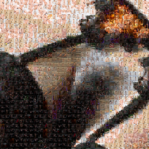 A puzzle made from thousands of photos of porn pictures