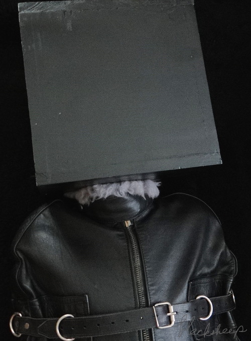 steellock:  What must this feel,like as you hear the latches click? 