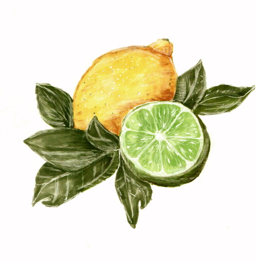 2kyo:  Lemon and Lime