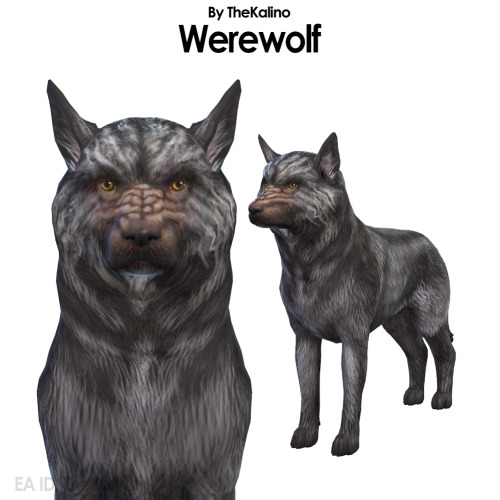WerewolfI am so looking forward to the new pack!In the Gallery!EA ID: TheKalinoPainted by myself. No