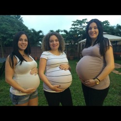 annaundlina:  einlieber:  pregnantmaxim:  Triple play  alle drei von Papa schwanger  uiuiuuuuiiiii na da;D  Die drei würd ich in dem Zustand gerne ficken!