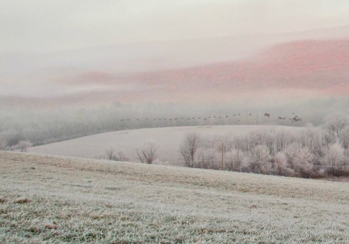 geopsych:A skein of geese in the air and wild turkeys on the hill, frost, fog, and the red of first light on the ridge.