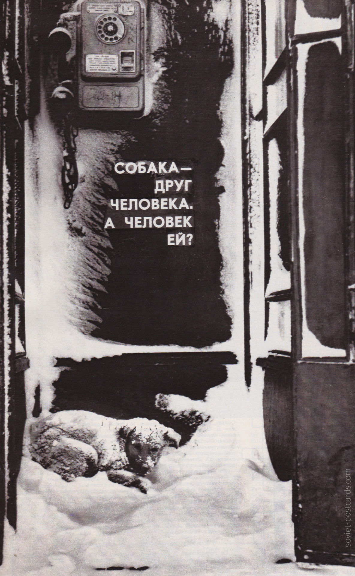 “Dogs are a man’s best friend. But is it also true vice versa?” Photo by Pavel Krivtsov (Ogonyok magazine, Feb. 1986).