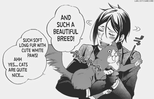 lawlietisawesome:Neko baka Michaelis
