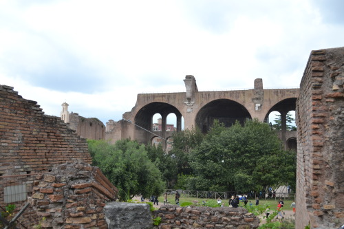 The Roman Forum was my favorite part of the Capital City. The famous structures, the gardens, the or