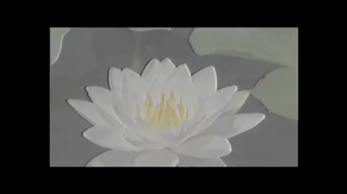 Elise Dompierre presents: INNER II WITHIN: sip the ocean of hope in a cruel worldwatch here: https:/