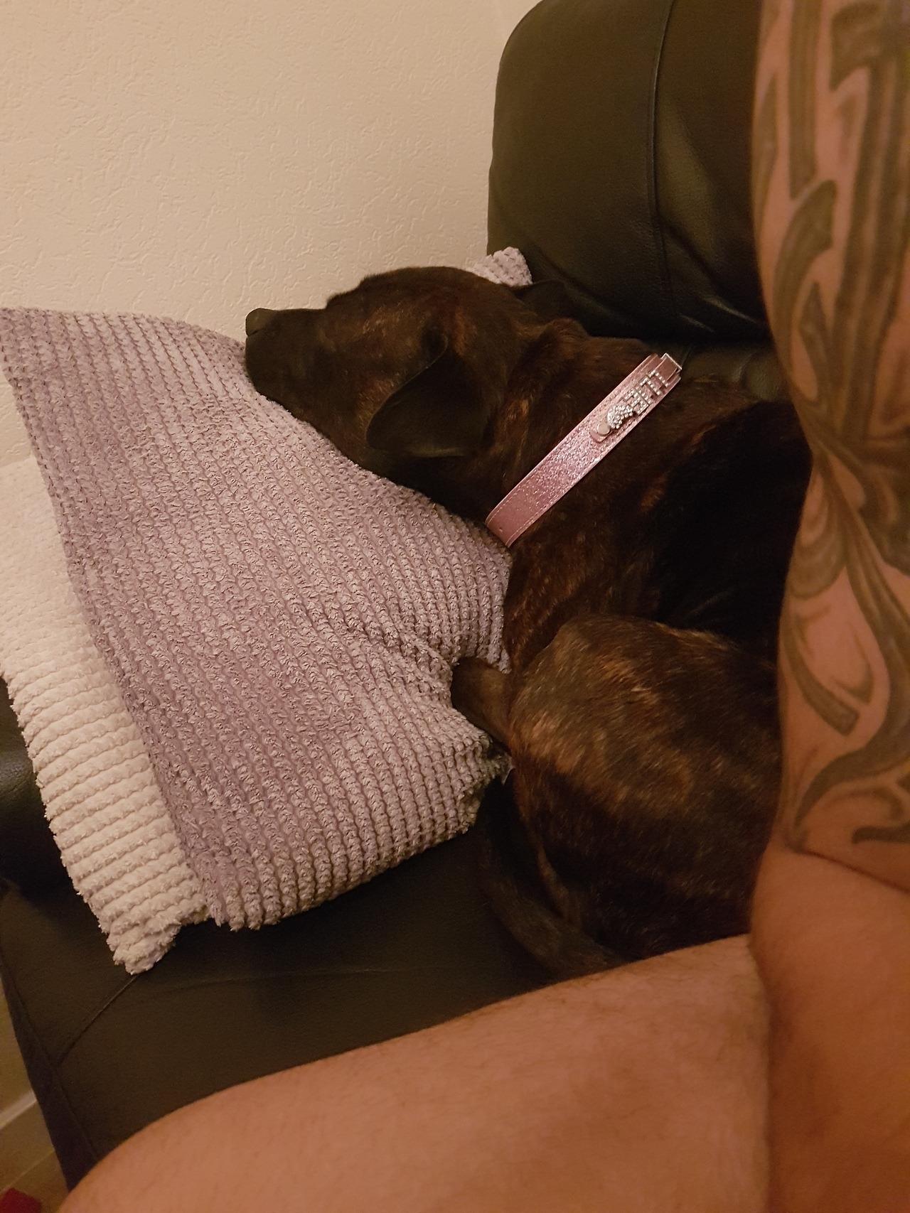 Shes liking the new sofa&hellip;