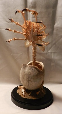 forgottenboneyard:  A closer shot of my Alien Facehugger/Giger tribute ‘Parasitoid’. Made with wild turkey and mink bones, coyote claws, and two box turtle shells.   THAT SHIT’S EPIC!