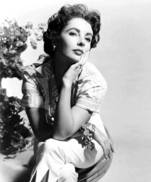 cobblestonestreet:Elizabeth Taylor, 1953