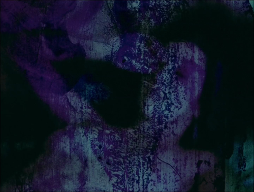 Sex 365filmsbyauroranocte:   Fuses (Carolee Schneemann, pictures