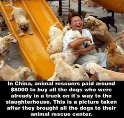 Faith in humanity restored