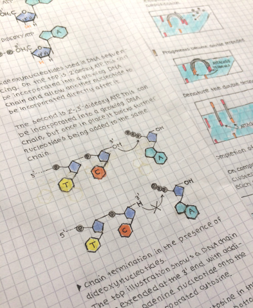 Methods in molecular biology: PCR 