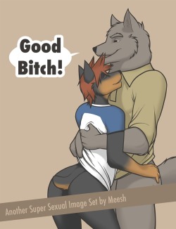 yiffy-pup:  dafoxxysabre:  Good Bitch (Part 1) By: Meesh (My