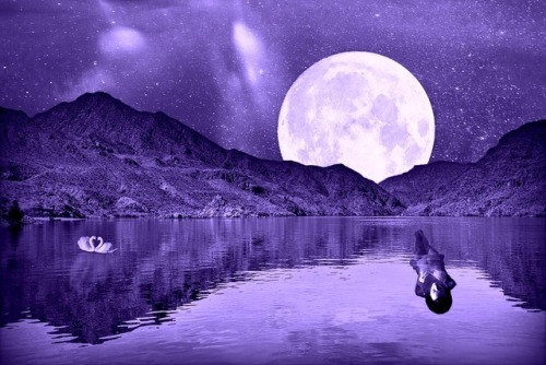 tumblr photo