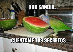 Maldito Chubaca