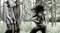 genshimada: The Walking Dead Meme: [2/2] Weapons  ↳ Michonne’s Katana
