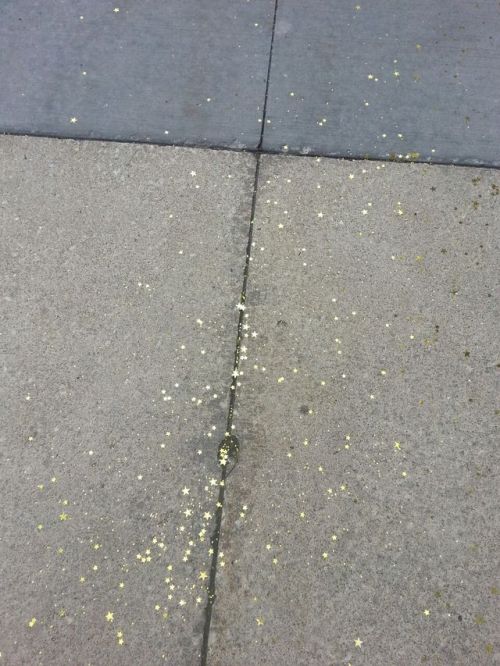 cute-evil-cookie:breadbowling:  Stars on the street    Fusili on the grass