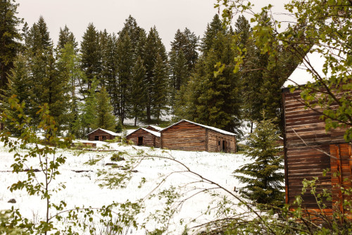 lillylalaloulou:Garnet Ghost Town &amp; more in Montana