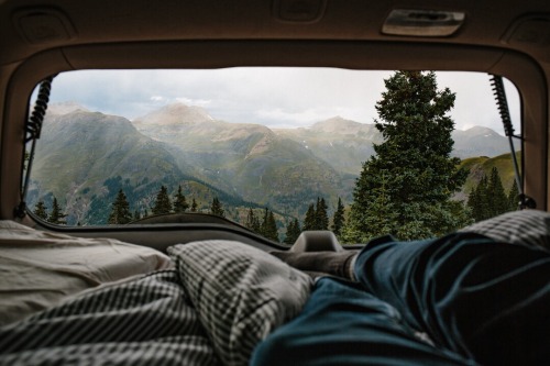 natemeg:Last night we camped right at treeline between Durango and Ouray several miles up a forest r