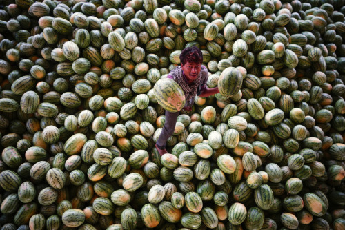 Kothapeta Fruit Market. Hyderabad, India. Rajesh Pamnani.