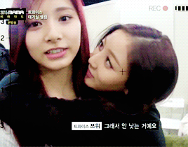 sailormoons:  Tzuyu and Jihyo |   Jihyo Collection 12/∞    