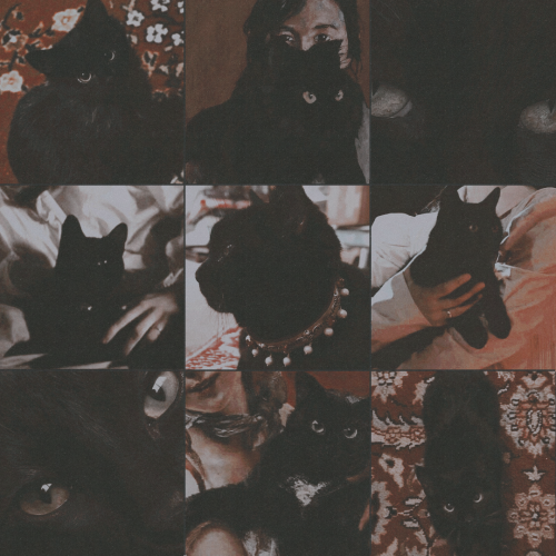 She Had A Small Black Kitten She Called Balerion, Did You Know? I Always Wondered What Happened To Him.