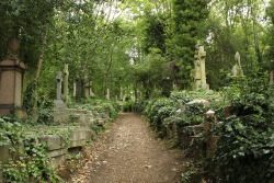 they-hide-in-the-dark:  Highgate Cemetery