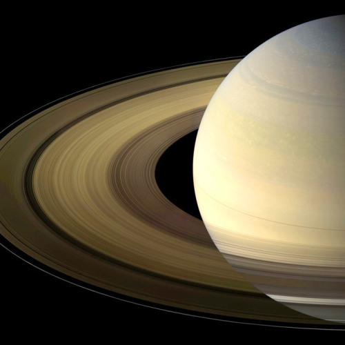 squid-star:saturn.