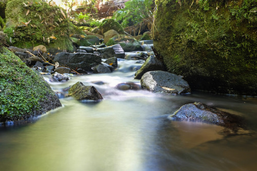 Below Sherbrooke Falls by r reeve on Flickr.