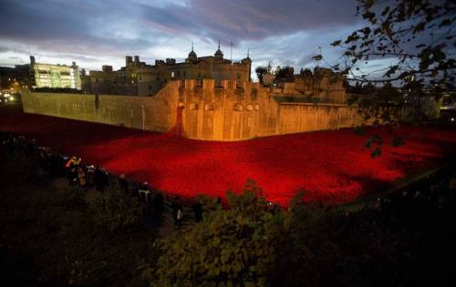 micdotcom:  Breathtaking photos show how Britain does Veterans Day   Veterans Day isn’t just an American holiday. While Americans remember veterans of all wars, the federal holiday coincides with Armistice Day, where countries around the world mark