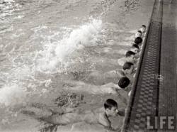 thenewloverofbeauty: William Vandivert:  Michigan State Swimming Team  (1938)