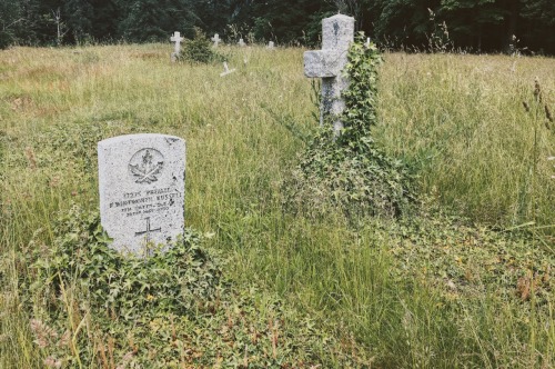 wildlxng: haunting