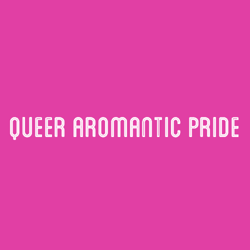 nonbinarypastels: [Image Description: A pink color block with text that reads “queer aromantic