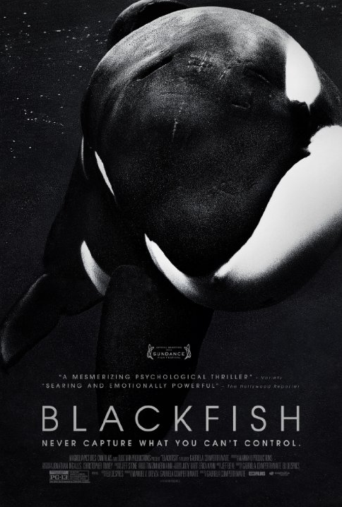 freedomforwhales:  Two of the most important cetacean documentaries you’ll ever