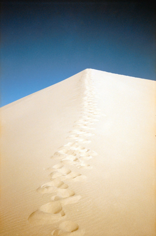 The Steep Climb to the Top of the Dunes Eureka Sand Dunes, Death Valley National Park