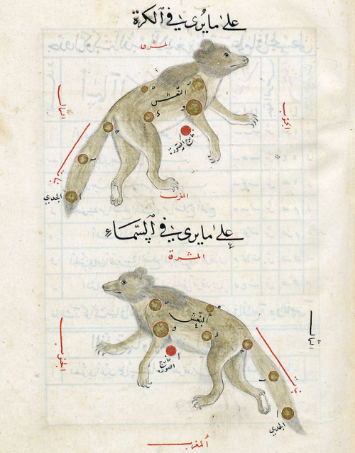 discardingimages:Little BearʿAbd al-Raḥmān ibn ʿUmar al-Ṣūfī, Kitāb ṣuwar al-kawākib al-ṯābita, Sama