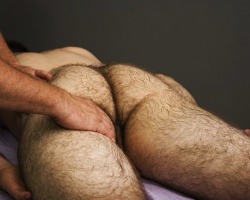 ithacub:  nakedregularguys:  I love a hairy