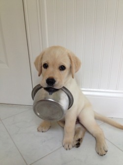 awwww-cute:  You know what time it is? (Source: