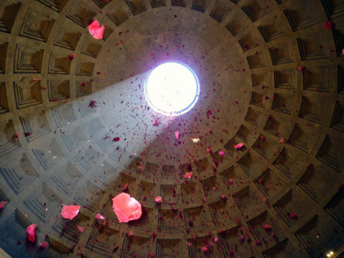 paragraphsandparenthesis:Rose rain in Rome’s Pantheon.