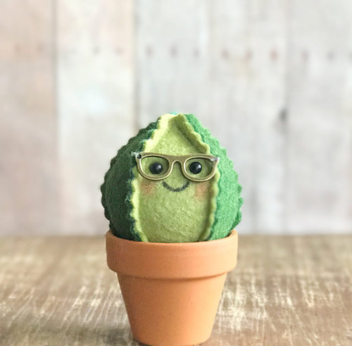 XXX vulpix: sosuperawesome:  Felt Succulents photo