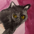 stinkbuttt: