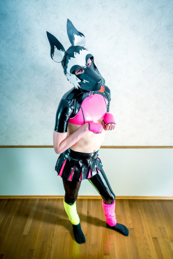 pupgenghis:  thevulpinereport:  Rubber Fox Pup on Flickr  Gear goals! Arrooooo! *wags* Live it!