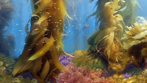 New Finding Dory concept art (x)